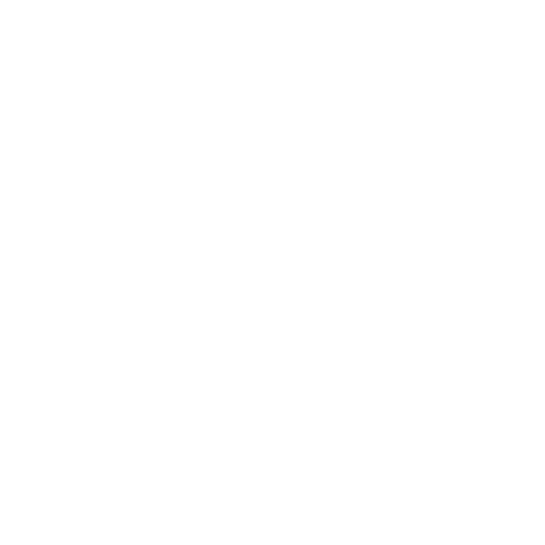 FIMI